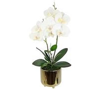 Fiore artificiale farfalla orchidea 42 cm con foglie e radici aeree in vaso in ceramica, fiore artificiale, orchidea artificiale Phalaenopsis con vaso, pianta artificiale, decorazione per matrimonio,