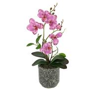 Fiore Artificiale Farfalla Orchidea Con Foglie E Radici Aeree in Vaso in Ceramic