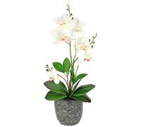 Fiore artificiale farfalla orchidea con foglie e radici aeree in vaso in ceramica fiore artificiale orchidea artificiale Phalaenopsis con vaso pianta artificiale per matrimonio decorazione fiore di