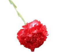 Fiore artificiale, Fiori finti, garofani artificiali, fiori in seta, bouquet singolo con supporto for teste e stelo, decorazione artistica(Red)
