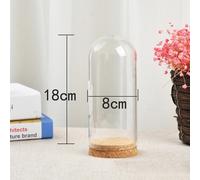 Fiore Conservazione Vaso Cupola Vetro Bottiglia W/ Base Legno Cork Display Table