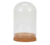 Fiore Conservazione Vaso Cupola Vetro Bottiglia W/ Base Legno Cork Display Table