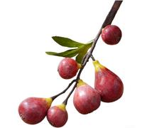 Fiore di fico artificiale realistico in schiuma, per composizioni nuziali, decorazione della casa e oggetti di scena per fotografia, in stile minimalista scandinavo (rosso)