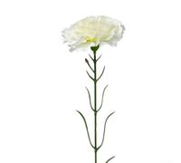 Fiore di garofano artificiale da 8 cm, ramo singolo per la festa della mamma (bianco crema)