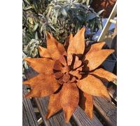 Fiore di mezzogiorno in acciaio inox gazania fiore di ruggine fiore in...