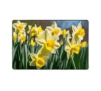 (Fiore di narciso) Tappeti stampati per soggiorno, camera da letto e ufficio 152 x 100 cm, tappeti moderni antiscivolo per interni.