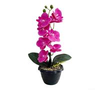 Fiore di orchidea artificiale in vaso nero, 35 cm, decorazione per la casa | materiale plastico, colori resistenti allo sbiadimento, polvere con panno asciutto, per zero luce solare richiesta