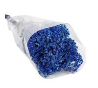 Fiore essiccato naturale del respiro del bambino 49,7 cm per bouquet da sposa centrotavola decorazione domestica vaso disposizione fiori secchi