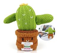Fiore positivo Cactus Felicità Eroe Pieno Bella Che Noi Allo stesso tempo Viviamo Che Tu Di nuovo Da Regali per Donne Cancro Grande Peluche Regalo Disabili Piccola Attenzione Partner