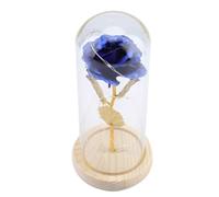 Fiore rosa del piccolo principe, fiore rosa eterno conservato con stringa LED in cupola di vetro.Buon per fidanzata, San festa della mamma(blu)