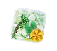 Fiore secco confezionato in resina facile da usare misto con ciottoli e perle, versatile accento decorativo in miniatura composizione di fiori secchi per la casa