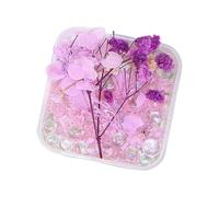 Fiore secco confezionato in resina facile da usare misto con ciottoli e perle, versatile accento decorativo in miniatura composizione di fiori secchi per la casa