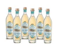 Fiorente Liquore Fiori Sanbuco 700ml - Realizzato con Ingredienti Completamente Naturali ed Italiani, Fresco Agrumato Ideale per Hugo Spritz e Fiorente Spritz - 20% vol. (6 Bottiglie)