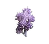 Fiori Artificiali 1 pz Fiore Artificiale Pianta succulenta Giardino Fai-da-Te Home Party Desk Desk Decor Molto Pratico e Popolare Fashion Professionals