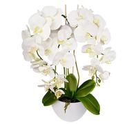 Fiori artificiali Damich Orchidea Decorazione 3pgb