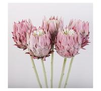 Fiori Artificiali Di Lusso In Seta King Protea For Matrimoni E Decorazioni For La Casa. Grandi E Realistici Bouquet Di Protea Finta Con Steli Pieghevoli, Eleganza Eterna.