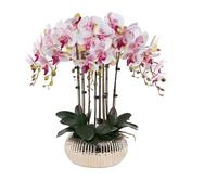 Fiori Artificiali Fiori Orchidea Artificiale 63 cm Fiore Artificiale con Vaso in Ceramica Fiori Finti in Vaso Fiori Artificiali Finti Fiori Moderni Orco Fi