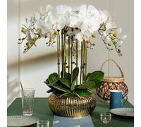 Fiori Artificiali Fiori Orchidea Artificiale 63 cm Fiore Artificiale con Vaso in Ceramica Fiori Finti in Vaso Fiori Artificiali Finti Fiori Moderni Orco Fi
