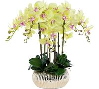 Fiori Artificiali Fiori Orchidea Artificiale 63 cm Fiore Artificiale con Vaso in Ceramica Fiori Finti in Vaso Fiori Artificiali Finti Fiori Moderni Orco Fi