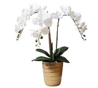Fiori Artificiali Fiori Orchidea Artificiale Seta Fiore Artificiale con Vaso in Ceramica Dorata Fiori Artificiali Fiori 23,62 Pollici Finto Floreale (Bianc