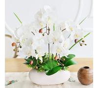 Fiori Artificiali Fiori Orchidea Artificiale Seta Fiore Artificiale con Vaso in Ceramica Orchidea Fiori Artificiali per centrotavola 53 cm Finto F (Bianco