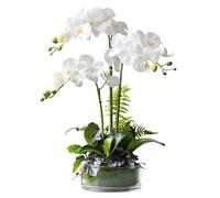 Fiori Artificiali Fiori Orchidea Artificiale Seta Fiore Artificiale PU Gomma Artificiale Fiori Artificiali Fiori 43CM Finto Floreale Decorazione per la CAS