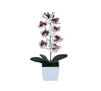 Fiori artificiali in vaso per orchidee, decorazioni per la cucina, decorazione per la casa, per le vacanze, la sala da pranzo e la sala da caffè