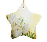 Fiori bianchi dei tulipani che stampano gli ornamenti cristiani dell'albero di Natale, ornamenti della stella della fattoria, forma della stella di ceramica per la decorazione di festa