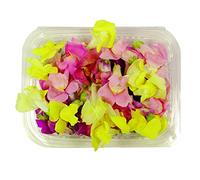 Fiori Commestibili BIOLOGICI - 40 fiori di BOCCA DI LEONE di COLORI ROSA, FUCSIA, VIOLA e GIALLO in vaschetta alimentare di 16 cm x 13 cm x 1,5 cm - Coltivati in Toscana dall'azienda agricola Carmazzi