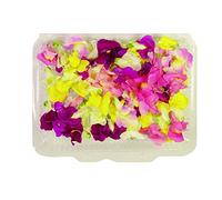Fiori Commestibili BIOLOGICI - 60 fiori di BOCCA DI LEONE di COLORI ROSA, FUCSIA, VIOLA e GIALLO in vaschetta alimentare di 23 cm x 15 cm x 1,5 cm - Coltivati in Toscana dall'azienda agricola Carmazzi