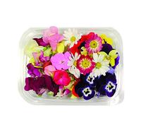 Fiori Commestibili BIOLOGICI - 60 FIORI EDULI di COLORI e VARIETÀ MISTE in vaschetta alimentare di 16 cm x 13 cm x 1,5 cm - Coltivati in Toscana dall'azienda agricola Carmazzi