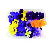 Fiori Commestibili BIOLOGICI - 60 VIOLETTE di COLORI MISTI in vaschetta alimentare di 16 cm x 13 cm x 1,5 cm - Coltivati in Toscana dall'azienda agricola Carmazzi