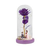 Fiori conservati in una cupola di , lampada a cupola a fiori | Lampada a cupola floreale a catena luminosa a LED con musica,Lampada di copertura in realistica e romantica per un matrimonio