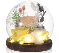 Fiori decorativi di rosa eterna sotto la cupola di vetro, sfera floreale conservata su base in legno, regalo premuroso per i propri cari in giorni speciali
