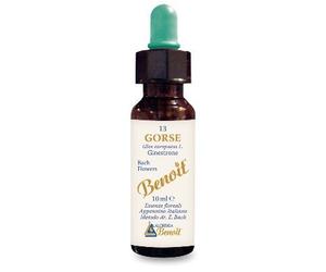 FIORI DI BACH BENOIT GORSE 10 ML
