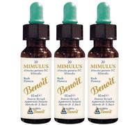 Fiori Di Bach Benoit Mimulus 10 Ml 3x10 ml Gocce orali