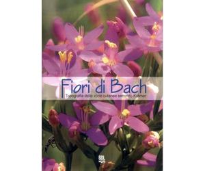 Fiori di Bach. Topografia delle zone cutanee secondo Krämer