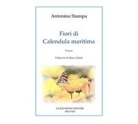 Fiori di Calendula Maritima