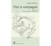 Fiori di campagna