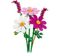 Fiori di Cosmos