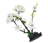 Fiori Di Decorazione Sushi Piastre Pietra Del Vassoio Che Servono Piatti