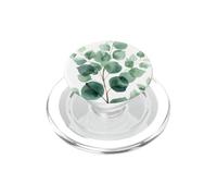 Fiori di eucalipto verde foglie rami floreali PopSockets PopGrip per MagSafe