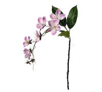 Fiori di gelsomino piangenti stampati in 3D realistici per matrimoni, decorazioni per la casa e fotografia, nessuna cura richiesta (rosa)