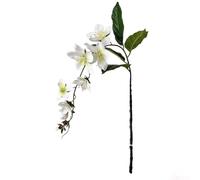 Fiori di gelsomino piangenti stampati in 3D realistici per matrimoni, decorazioni per la casa e fotografia, nessuna cura richiesta (bianco)