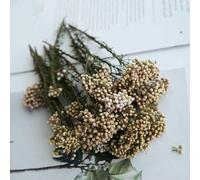 Fiori di riso essiccati, fiori conservati per decorazioni fai da te in casa e ufficio, materiale per colla di, candele fatte a mano, fiori in resina epossidica - Rosa e verde - 20 g