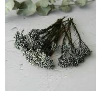 Fiori di riso essiccati, fiori conservati per decorazioni fai da te in casa e ufficio, materiale per colla di, candele fatte a mano, resina epossidica, fiori grigi, 10 g
