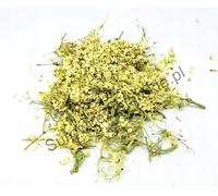 FIORI DI SAMBUCO NON APERTI 200 G 100% NATURALI