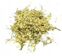 FIORI DI SAMBUCO NON APERTI 500 G 100% NATURALI
