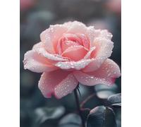 Fiori Diy Set Per Ricamo Con Perline Una Rosa Kit Artigianali Con Ricamo Ad Ago Kits Punto Croce Con Perlines Fai Da Te Pittura Con Perline 3D 40x50 cm
