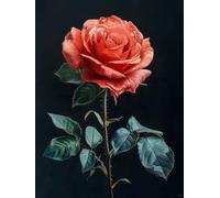 Fiori Diy Set Per Ricamo Con Perline Una Rosa Rossa Kit Per Ricamo A Punto Croce Con Perline Stampate Fai Da Te,Decorazioni Per La Casa 30x40 cm